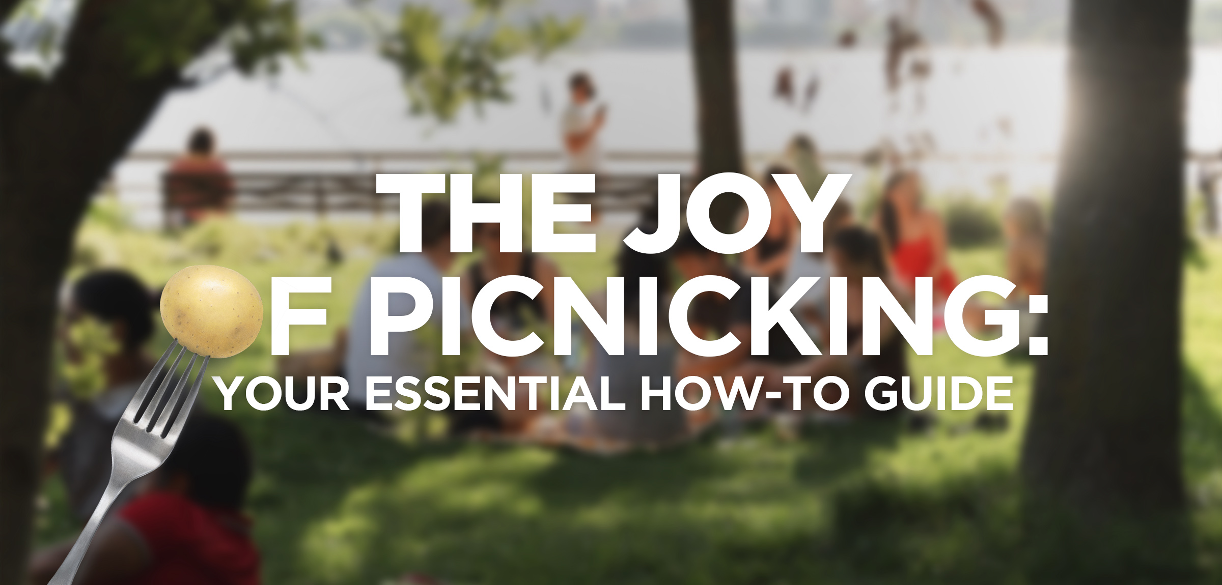 FREE Guide On The Perfect Picnic Set Up — Amro Menor
